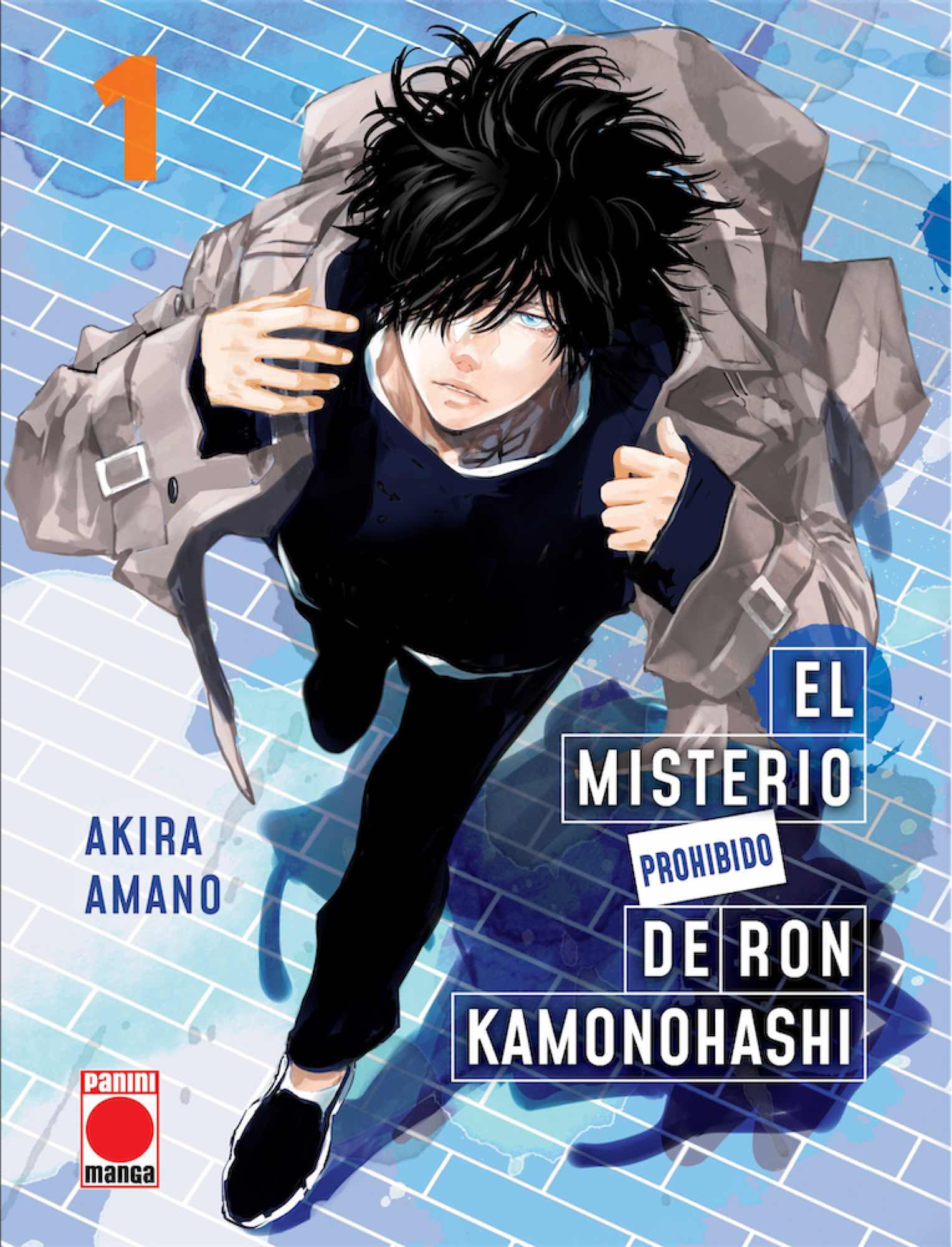EL MISTERIO PROHIBIDO DE RON KAMONOHASHI 01 (PORTADA ALTERNATIVA)